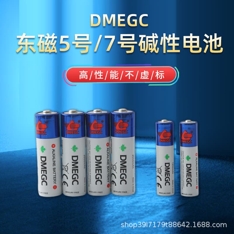 DMEGC Dongci AA AAA Batteries for Fingerprint Locks Smart Locks Yuwell Blood Pressure Monitor Original High-Capacity Dry Batteries