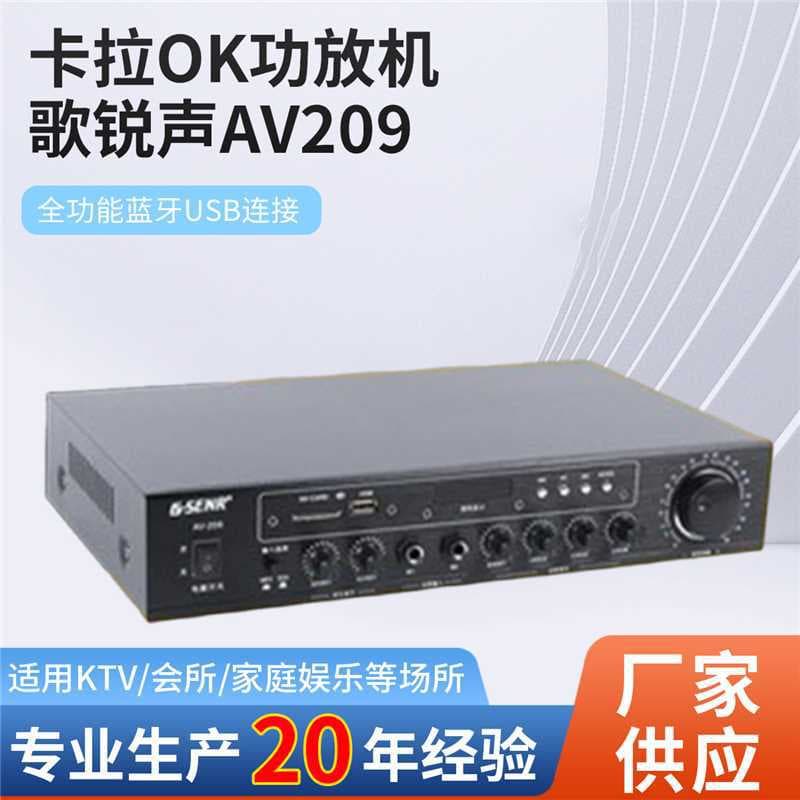 Goreisheng AV209 Multi-Function Karaoke Amplifier High-Fidelity Audio Power Amplifier High Power