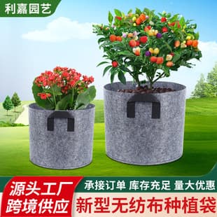 Non-woven Fabric Planting Bag Thickened Gray Green Orchard Tomato Planting Thickened Tree Planting Bag Seedling Bag Wholesale