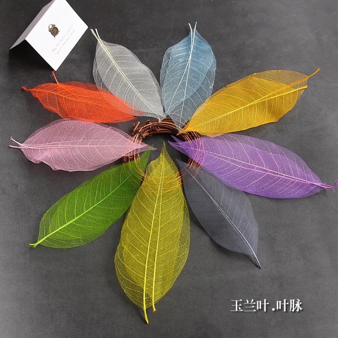 Wholesale Premium Natural Magnolia Leaf Vein, Diamond Leaf, Colored Mesh Leaves, Handmade DIY Bookmark Sticker Accessories