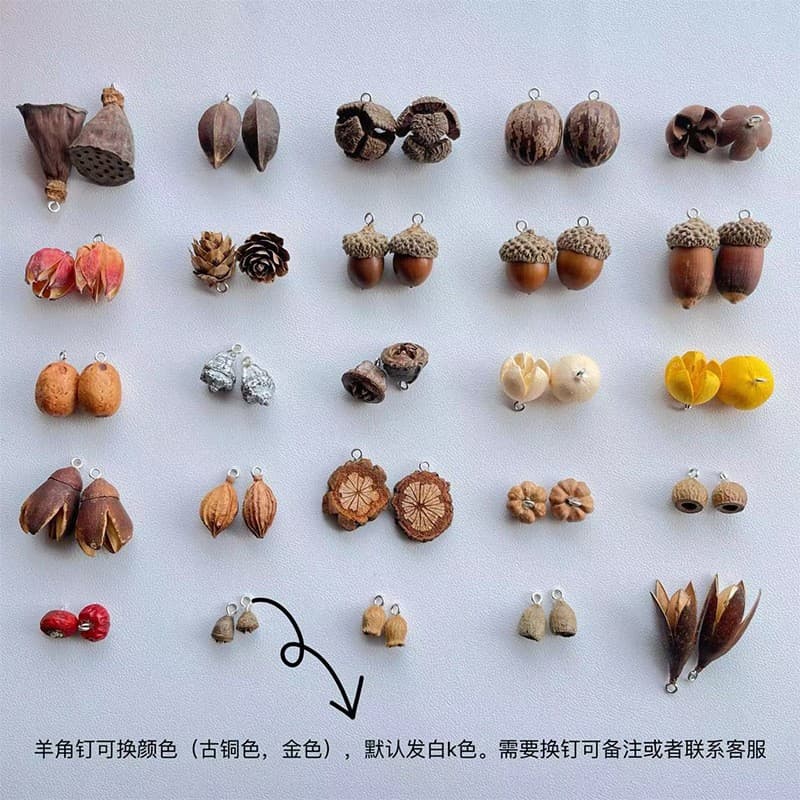 DIY handmade acorn and lotus seedpod craft earrings/bracelets with ram's horn nails.