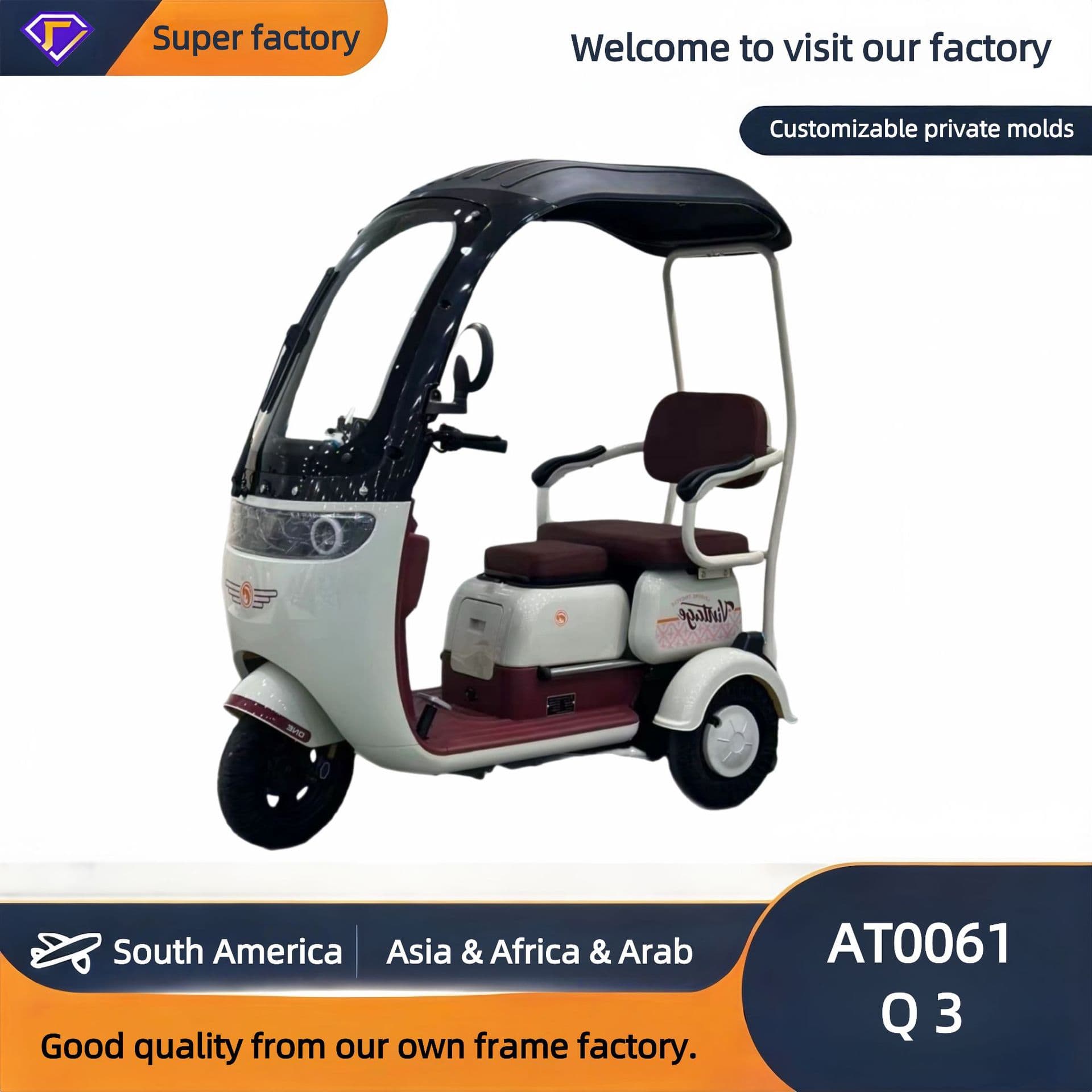 Canopy Electric Tricycle - Weatherproof for Daily Urban Comm