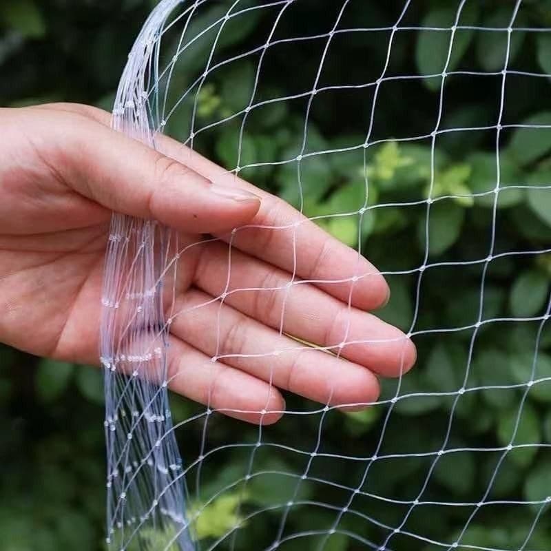 Cross-border network garden net orchard anti-bird net polyethylene anti-bird net extruded anti-bird net grape anti-green anti-bird net