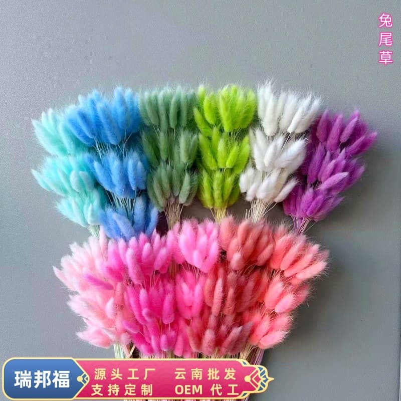 Rabbit Tail Dried Flower Bouquet Dog Tail DIY Material Package Aromatherapy Materials Cross-Border Hot Selling Photography Props