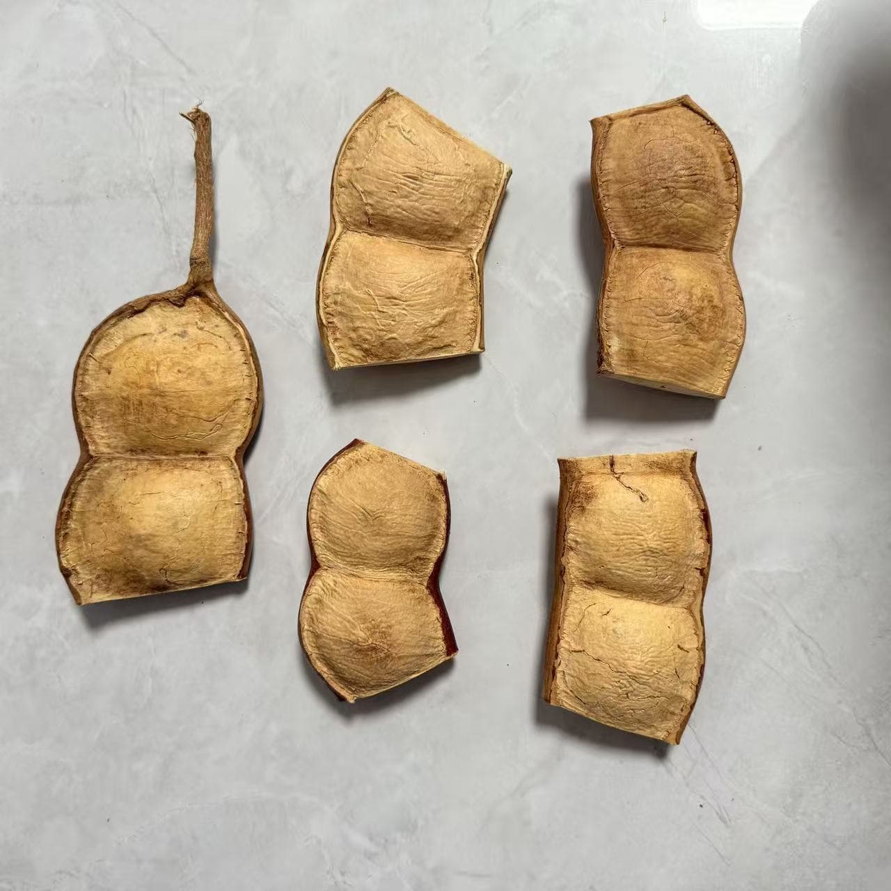 Yunnan Entada Bean Pod Large Soybean Baby Bean Old Bean Handmade DIY Entada Bean Pod Baby Material Accessories Kit