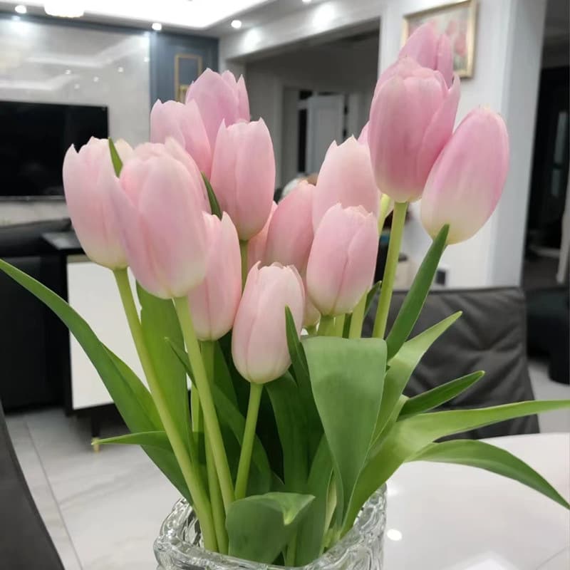 Hydroponic Tulip Large Bulbs Imported from Netherlands, Potted Plant Green Indoor Flowering