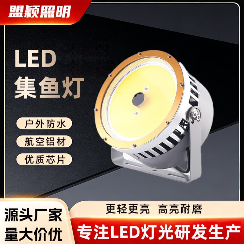 Outdoor Marine High-Power Ultra-Bright LED Fishing Light Night Fishing Fish Attracting Gathering Special Light Waterproof Strong Light