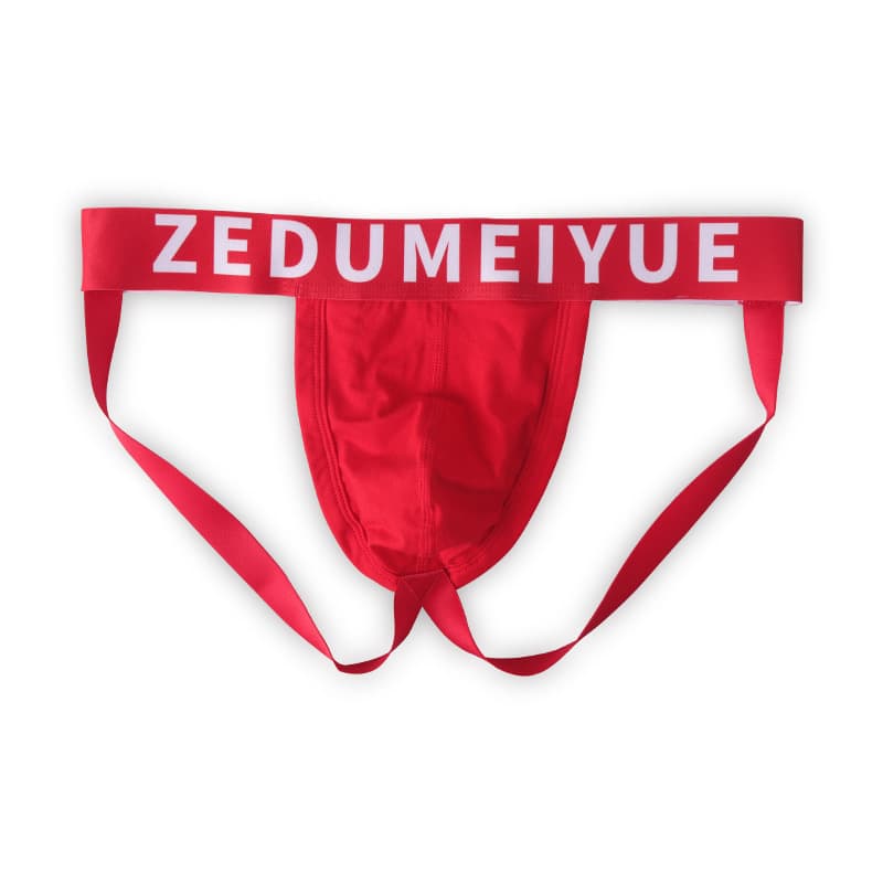 European and American export source men's underwear thong cotton sexy fashion low-rise double thong youth trendy T-back