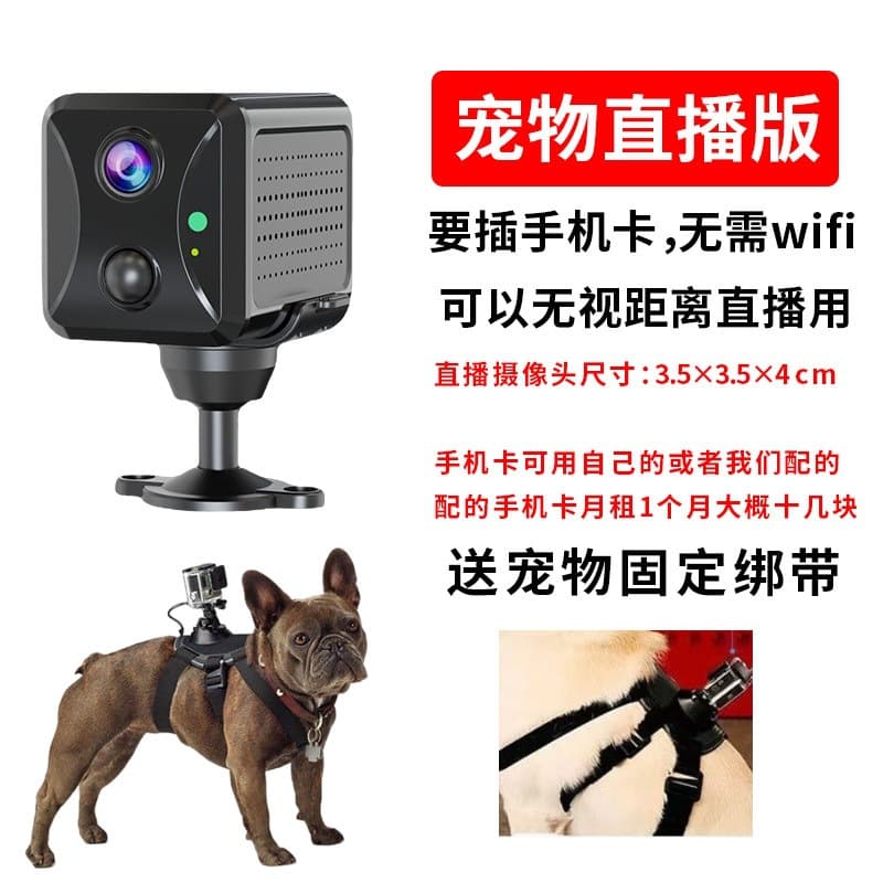 Pet Recorder Live View Cat Necklace Dog Home Action Camera Style Movable for Animals