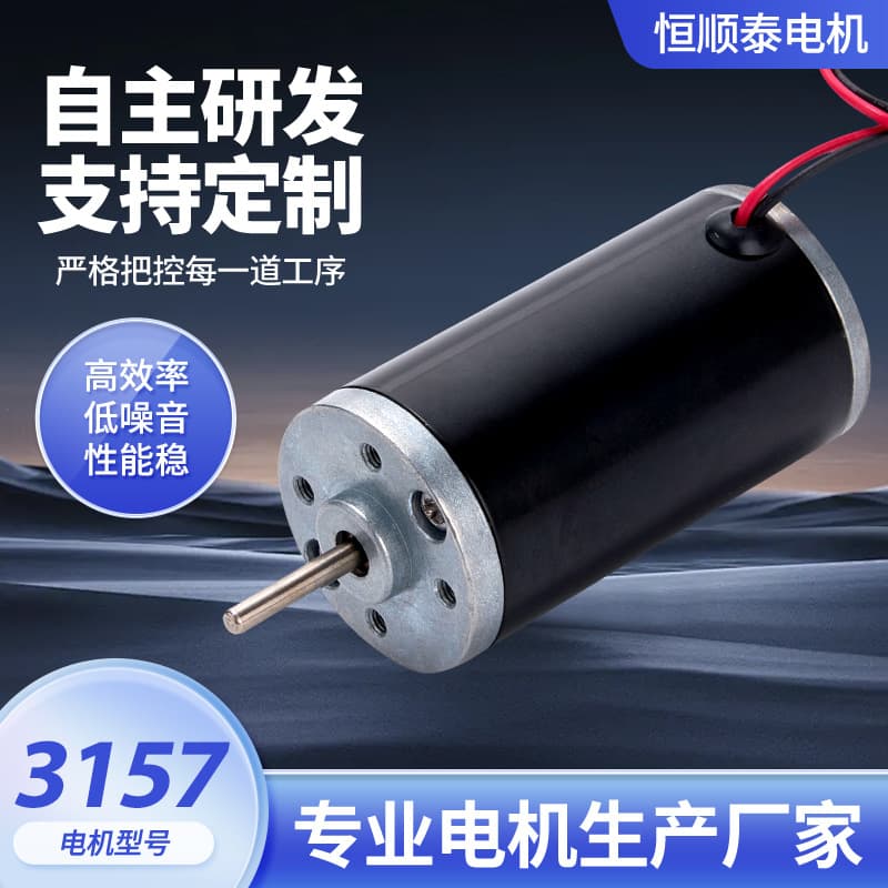 3157 Electric Curtain Micro Motor, Air Fryer Smart Trash Can Motor, Sprayer DC Motor Factory