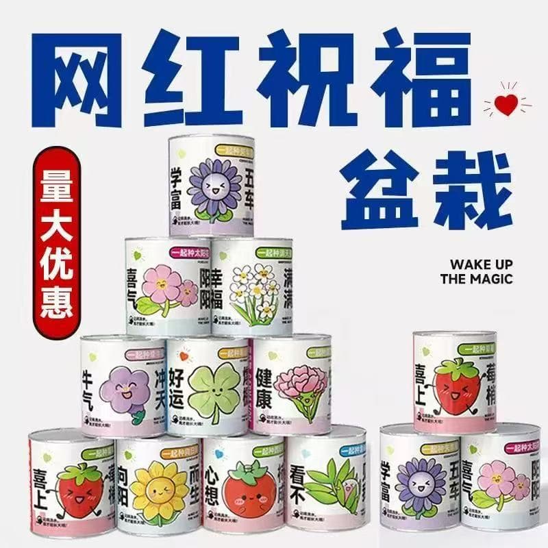 Children's Day Gift: Mini Potted Plants in Easy-Open Cans, Small Green Plants, Student Back-to-School Gift, Children's Planting Potted Plants