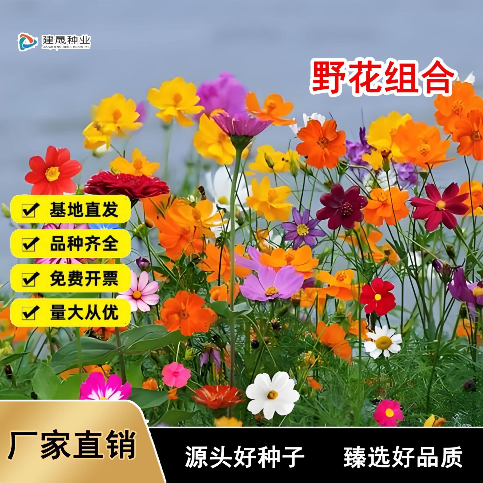 Wildflower Mix Seeds Wholesale Four-Season Flower Seeds Drought-Tolerant Heat-Resistant Easy to Grow