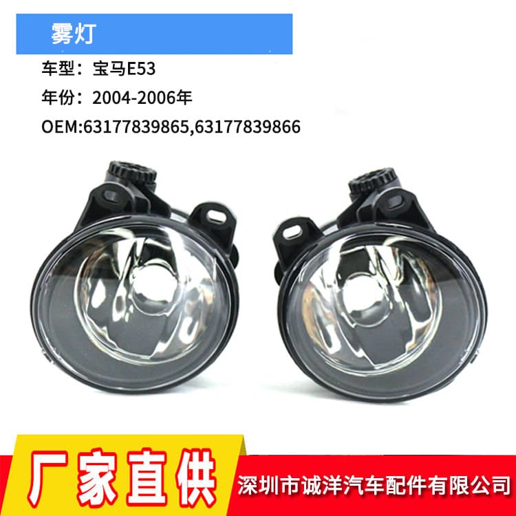 Fits 2004-2006 BMW X5 E53 Front Bumper Fog Light Assembly - Auto Front Bumper Light, Car Fog Light Wholesale