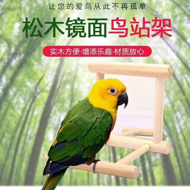 Cross-Border In-Stock Simple Parrot Toy Pet Stand Bird Mirror Bird Climbing Stand Perch