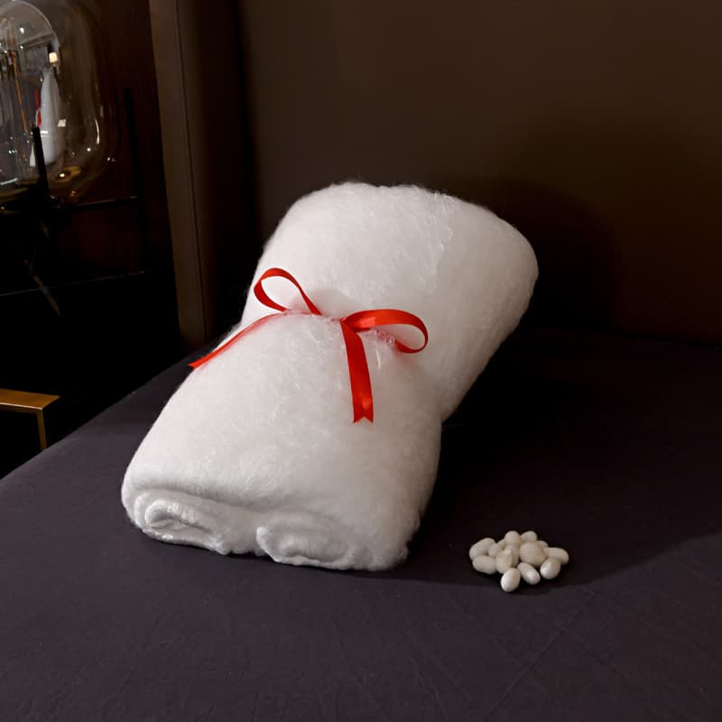 Premium Double Cocoon Mulberry Silk Filling 100% Handmade Pure Silk Comforter Core, All-Cotton Dual-Layer Silk Core