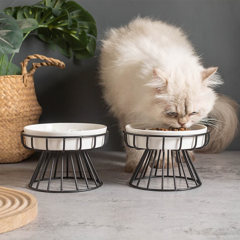 Ceramic Slow Feeder Bowl with Neck-Protecting Stand, Anti-Tip Pet Bowl for Small Dogs and Cats, Amazon Anti-Choke Dog Bowl