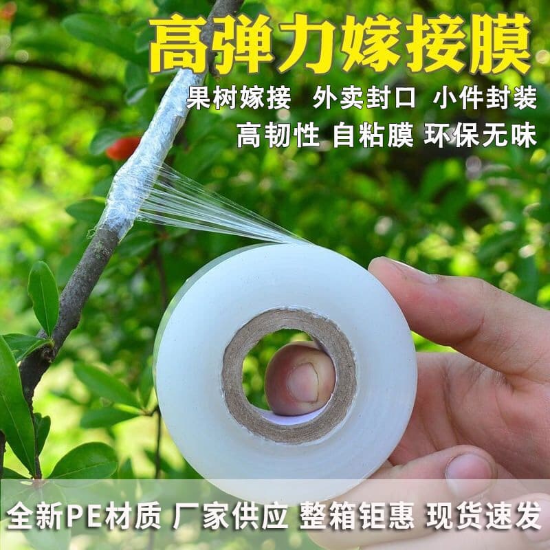 Pe Plastic Film Stretch Thin Self-adhesive Tree Grafting Film 3cm Small Roll Winding For Tree Grafting Packaging