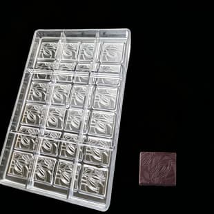 24-Cavity Cocoa Fruit Pattern Chocolate Mold, PC Material, 5g Flakes, QL-1585