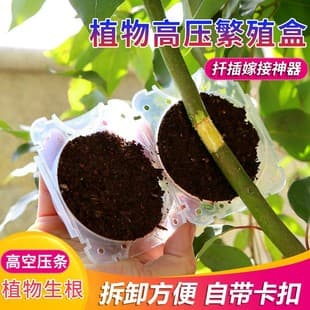 Plant Pressure Propagation Box, Breeding Box, Air Layering Pod, Grafting Box, Tree High-Pressure Cutting Tool Wholesale Factory