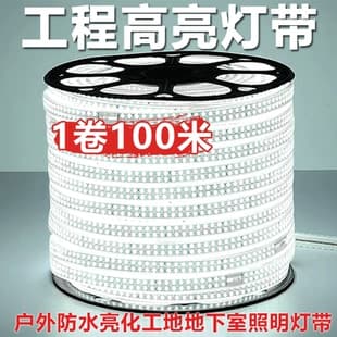 LED Strip Light 220V Outdoor Engineering Lighting Waterproof Light Strip for Farming Tower Crane Construction Site Basement 24V 36V