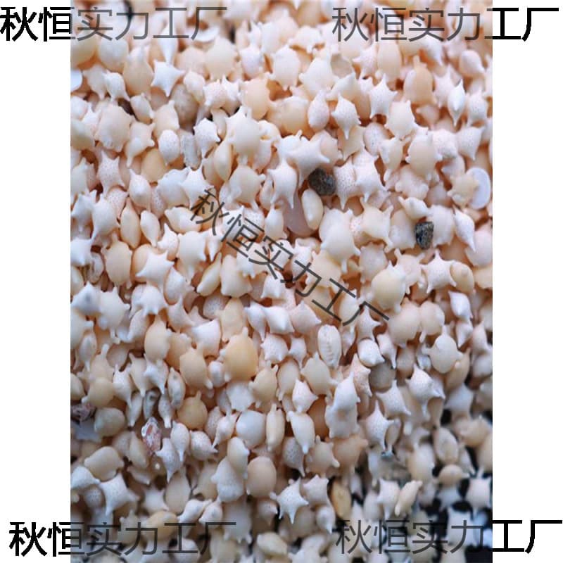Sand UV Resin Shell and Conch Crafts, Miniature Sea Sand Decorations