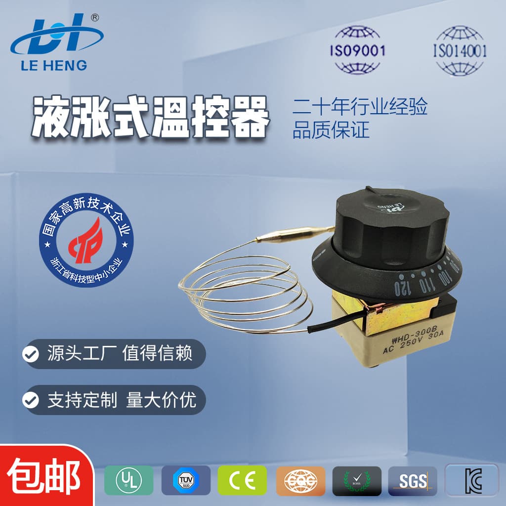 Leheng Technology Supplies Whd-300B 30A32A High-Power Liquid Expansion Mechanical Thermostat Switch