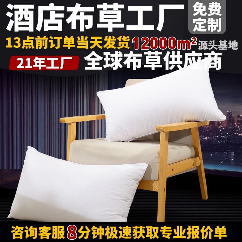 Five-Star Pure Cotton Downproof Fabric Feather down Pillow Core Hotel Bedding Rectangular Shape Single Person Adult Use