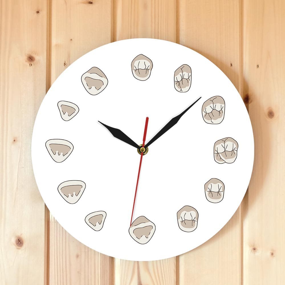 12 Tooth Modern Dental Clinic Wall Clock Medical Dental Office Dentist Gift Clock Decorative Wall Clock Cross Border