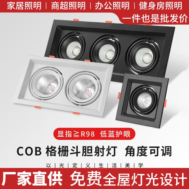 Bold lamp LED spotlight double-head grille light embedded adjustable spotlight aisle spotlight commercial super three-head spotlight