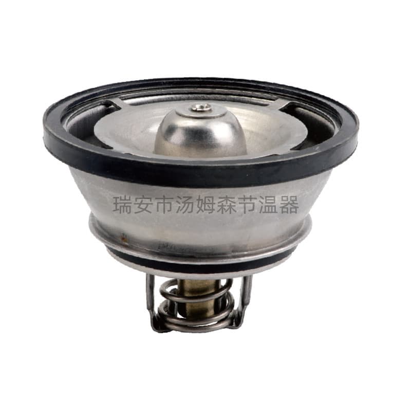 for Volvo Thermostat 21237213 21412639 20560249 20463750