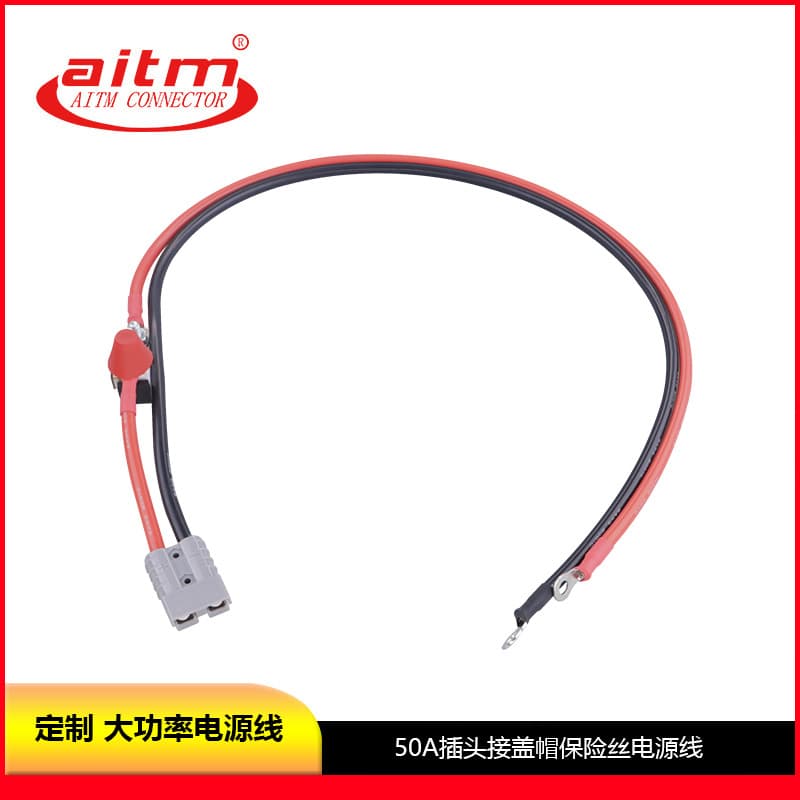 Custom AITM 50A Plug with 80A Fuse 6AWG 100cm Length High-Power Battery Power Cable