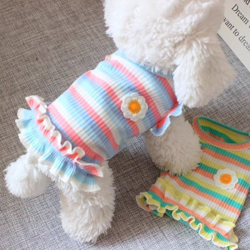 Pet Dog Cat Clothes Princess Small Dog Bear Teddy Vest Skirt Summer Rainbow Stripe Thin