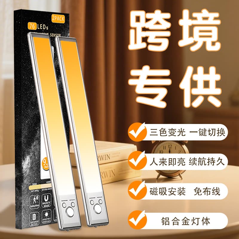 Cross-border Smart LED Human Body Sensor Night Light Desk Lamp Cabinet Light Bedroom Outdoor Rechargeable Light Strip Wall Lamp