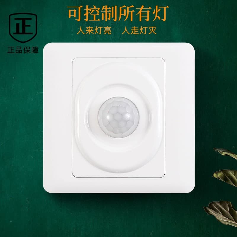 86-Type Human Motion Switch Panel 200W High Power LED Light Infrared Smart with Photocell Corridor Delay