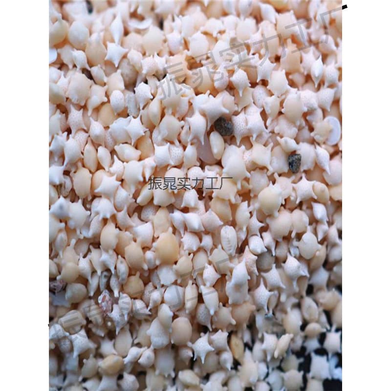 Sand UV Resin Shell and Snail Crafts, Miniature Sand Decorations