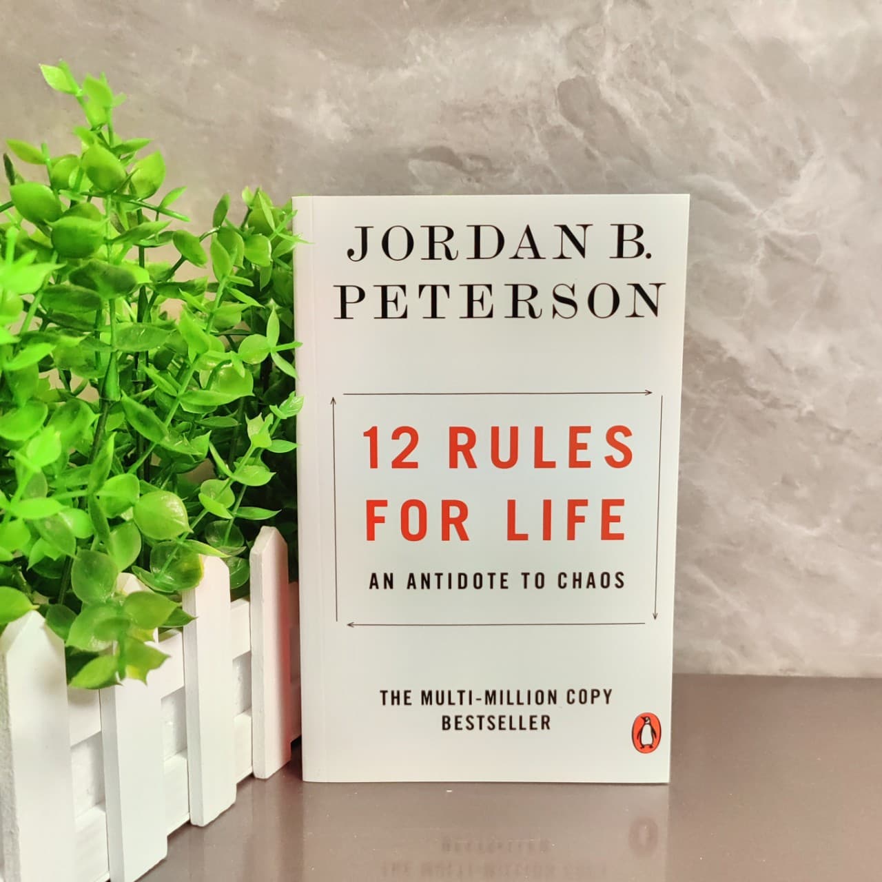 The 12 Rules of Life (English Version) by Jordan Peterson: Solving 80% of Life's Disappointments