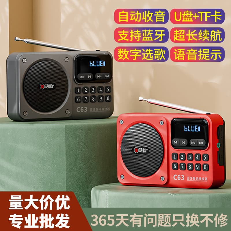 2025 Langyun C63 Radio for Seniors Multi-function Card Slot Bluetooth Speaker with Subwoofer
