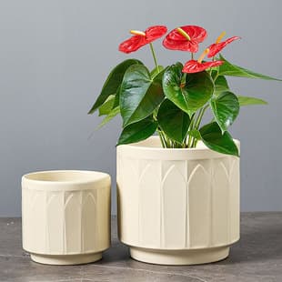 Large and Small Phalaenopsis Orchid Pots, Ceramic Balcony Hanging Planters for Succulents, Home Gardening Supplies, Clearance Sale Wholesale