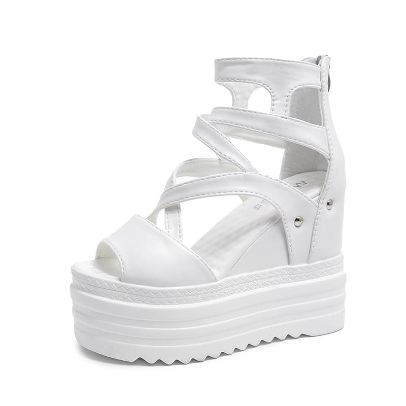 Women's Height-Increasing Sandals 2025 Summer New European and American Breathable Peep-Toe Shoes Back Zipper Platform Thick-Sole Sandals Fashion