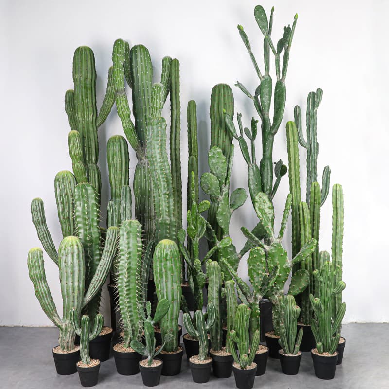 Simulated Large Desert Cactus Nordic Cactus Ball Fake Green Plant Indoor Scene Window Decoration