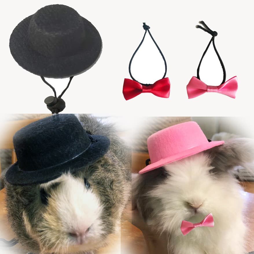 [Small Wholesale] Pet Rabbit Guinea Pig Dutch Pig Chinchilla Hedgehog Hat Small Top Hat Holiday Transformation