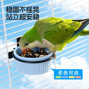 Parrot Food Bowl Small Bird Ceramic Feeder Water Bowl Hanging Bird Feeder New Style Hanging Cage Chick Feeder