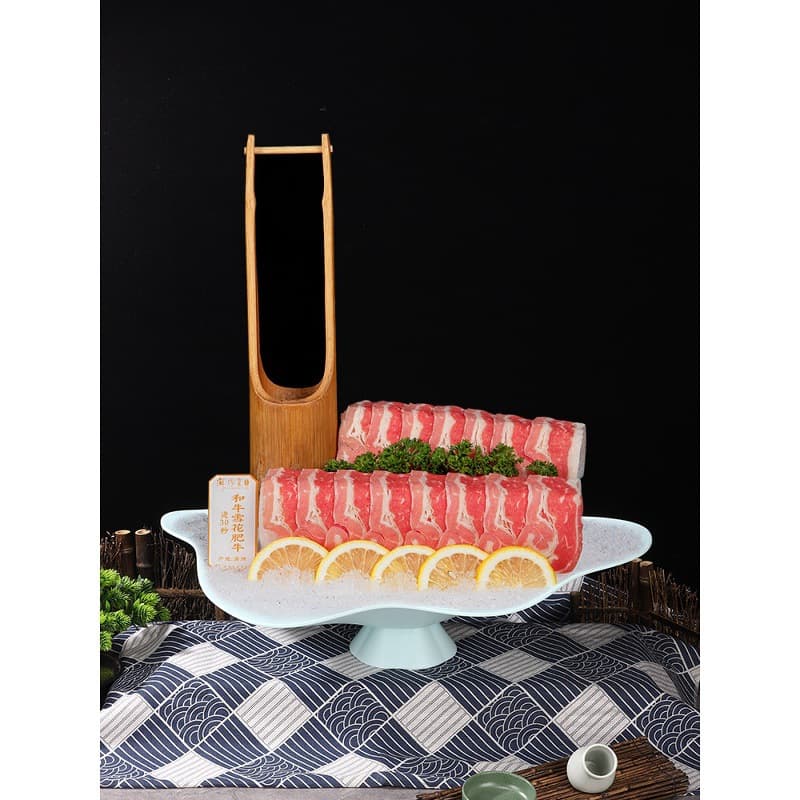 Trendy Hotel Artistic Plating Dish Salmon Sashimi Plate Seafood Platter Melamine Creative Dry Ice Tableware