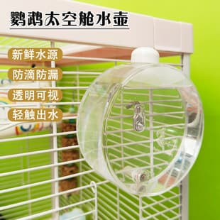 Automatic Bird Waterer, Needle Valve Water Bottle for Budgie Cockatiel, Large Bird Drinking Dispenser
