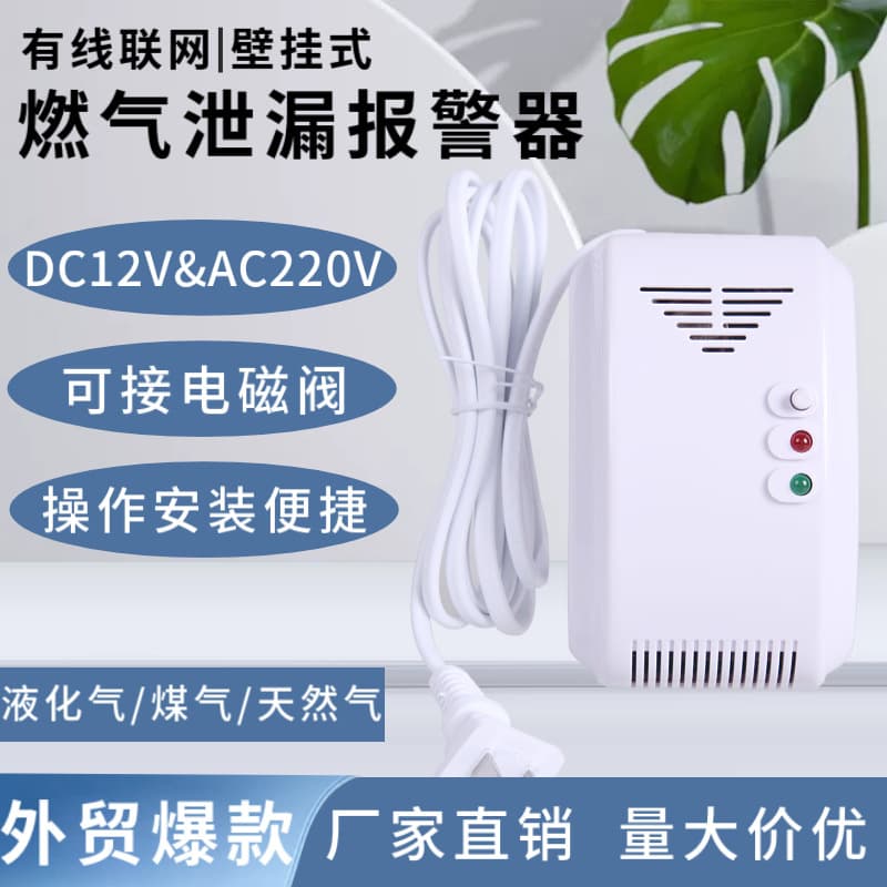 Home Combustible Gas Detector 12V/220V, Kitchen Natural Gas and Coal Gas Leak Alarm for Cross-border Trade
