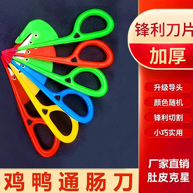 Intestinal cutter for duck, chicken, and goose intestines, home-use gutting tool for poultry and fish like eel and loach, a gut-opening device.