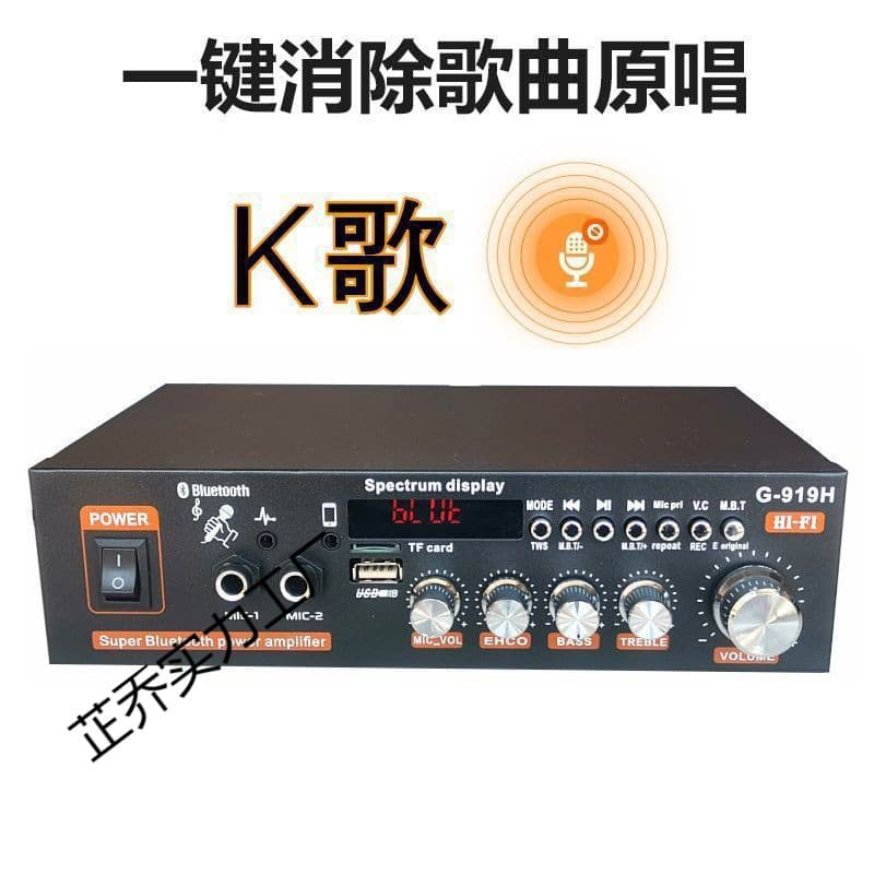 Audio Power Amplifier Bookshelf Speaker Amplifier Small Amplifier Home Use 220V 12V Car Power Supply Dual Use