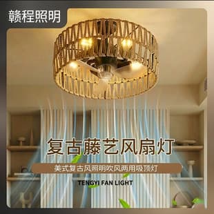 New Cross-Border DIY Fan Light Nordic Simple Fan Light Retro Rattan Ceiling Fan Light E27 Fan Light