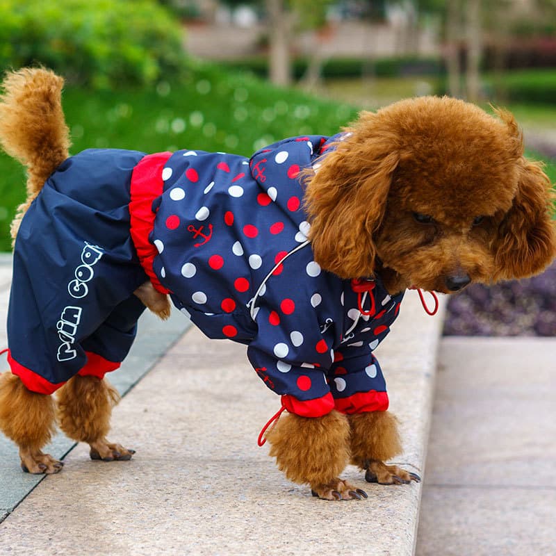 Small Dog Raincoat Pet Full-Body Four-Leg Raincoat Outdoor Waterproof Teddy Raincoat Pet Clothing