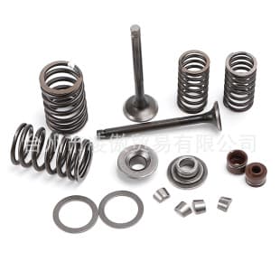 Motorcycle Engine Valve for SYM GY6 Four-Stroke 50 CC 80 CC Intake and Exhaust Valve Kit